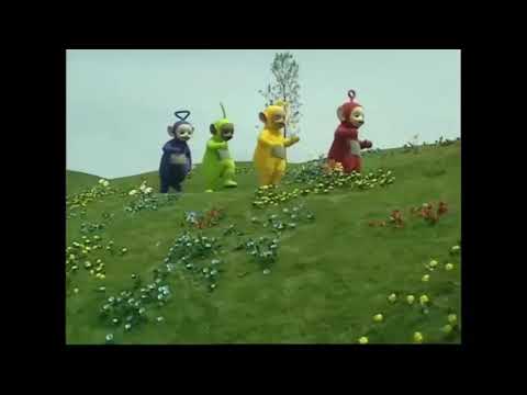 Teletubbies version -shape of you