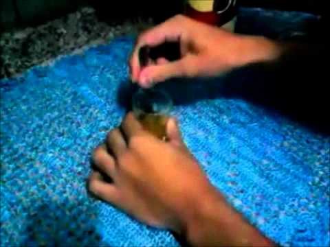 NÃO FAÇAM ISSO - #001 - 51 Efervescente