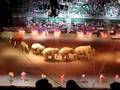 Circus