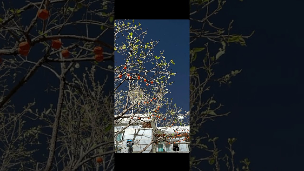 Sooyoung Instagram Update. 12/8/2022#girlsgeneration #sone #sooyoung #youtubeshorts#shorts