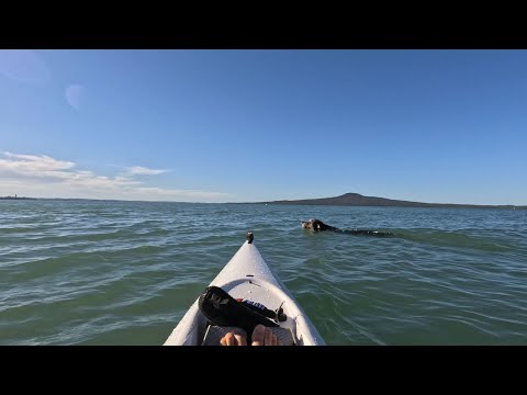 Fenn Bonito, the mini surfski!