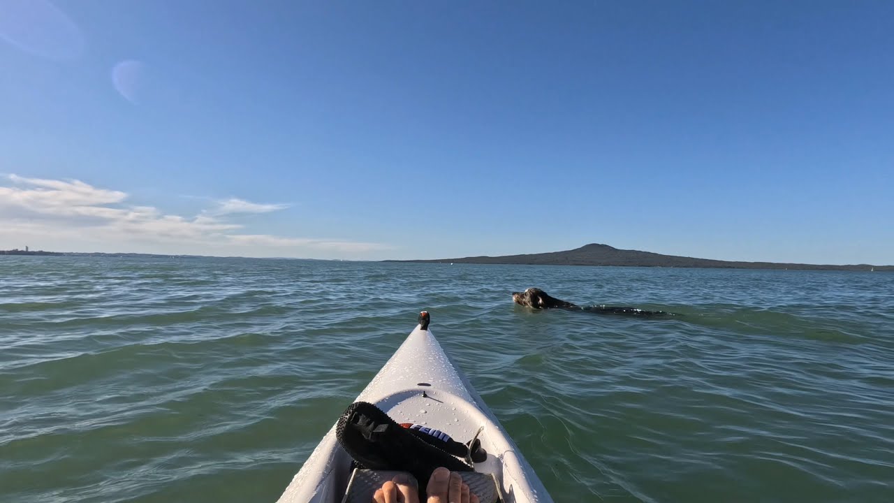 Fenn Bonito, the mini surfski!