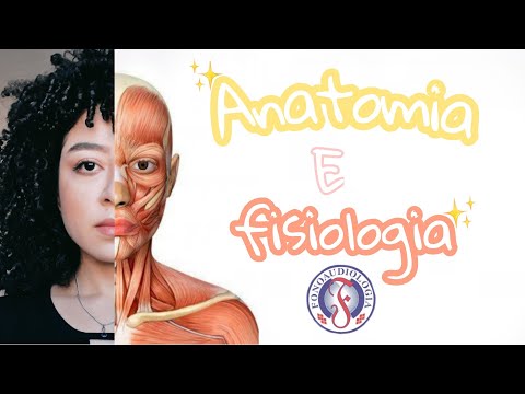 ANATOMIA E FISIOLOGIA APLICADO À FONOAUDIOLOGIA | Dicas de sites + apps + livros