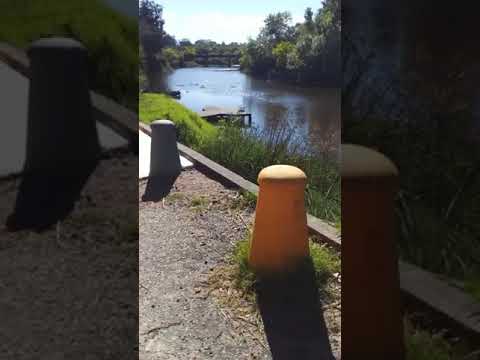 Recorrido por el parque de Pando