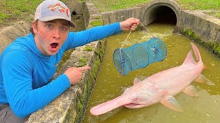 Saving Aquarium Fish From DESTROYED SPILLWAY!