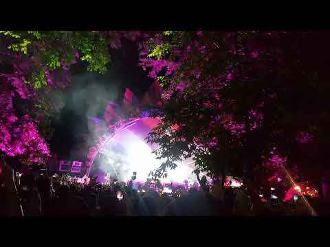 Black Coffee - Drive Untold 2019