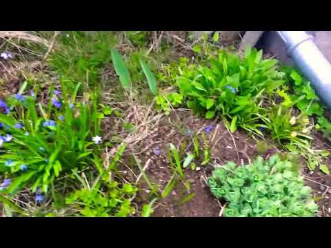 Nu kommer sommaren😍