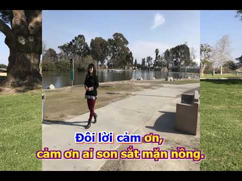 Đôi lời cảm ơn Sheet - Ái Phương