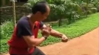 Download lagu Kurang sakti. Ilmu kebal yang gagal. mp3