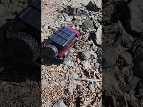 Got my truck in, Beluga or Hb r1003. definitely a killer budget crawler with a bunch or potential