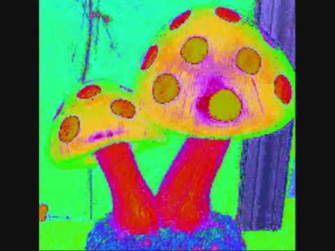 Sesto Sento Vs System Nipel - My Trip To Fantasy