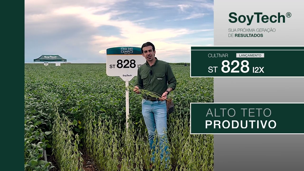ST 828 I2X: a cultivar 8.2 da SoyTech® para altas produtividades
