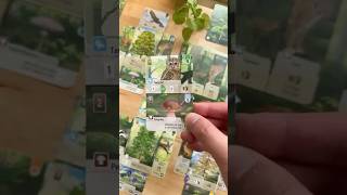I’ve never seen card games do this before! 🌳🦜🌿☺️❤️ #boardgames #gamenight #cardgames