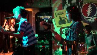 Ron Gallo and The Satellite Hearts "Why Do You Have Kids"