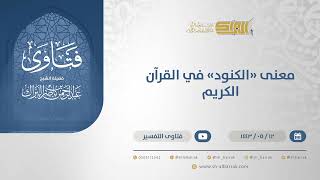 صورة معنى "الكنود" في القرآن الكريم - الشيخ عبدالرحمن البراك (13288)