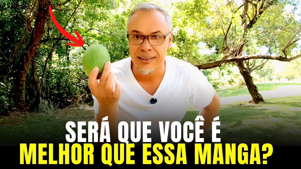 3 Tipos De Personalidade, Qual Você se Identifica? ESPERO QUE NÃO SEJA...