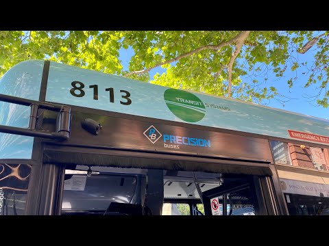 Transit Systems Sydney: m/o 8113 - Scania K320UB Precision VST