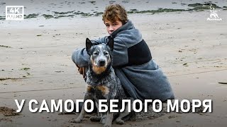 У самого Белого моря (2021)