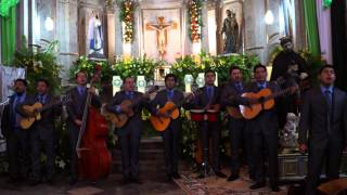 preview picture of video 'Rondalla de Chapala Fiestas de San Francisco de Asis Chapala 2014'