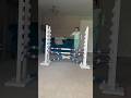 Hobby Horse Jumping