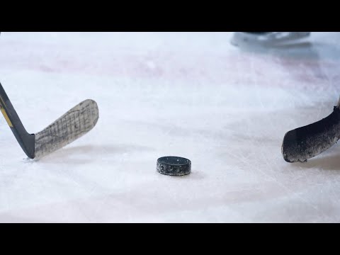 Olika typer när man gör mål ISHOCKEY EDITION {Del 2}
