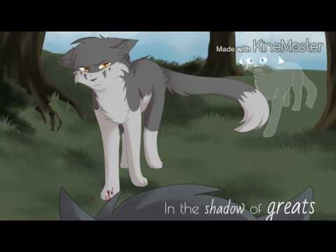 Остролап коты воители арт. Коты воители астро лап. Остролап коты. Коты воители остролап. Остролап коты.