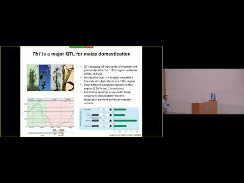 Robert Schmitz: Systematic discovery of gene regulatory elements using chromatic structure ...