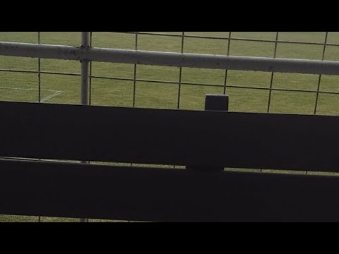 Fk Nove Sady Vs Havířov