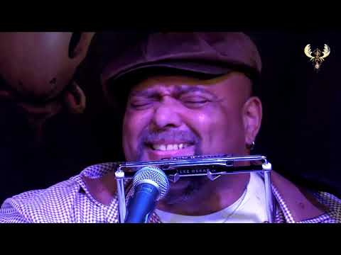 Kevin Burt - Real Love - Live for bluesmoose radio