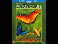 Wings Of Life 2013 DVD Overview