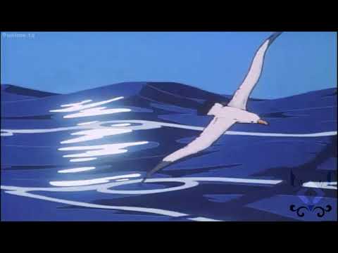 Starlight's Sea Shanty ~ AMV