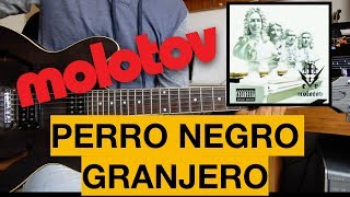 Perro Negro Granjero - Molotov // Video-Guía (Guitar Cover) || El Richi!