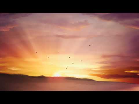 Sunrise, moving clouds and flying birds - Video Background Loop HD 1080P