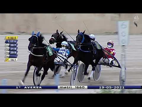 Aversa trotto 19 Maggio 2021 - 1° Corsa