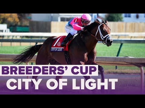 CITY OF LIGHT wins Dirt Mile | Breeders' Cup 2018