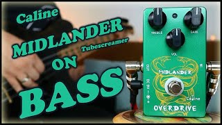 Video thumbnail for Caline CP-49 Midlander Overdrive (Bass Demo) by Jo Bass