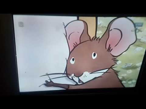 Nawet nie wiesz jak bardzo cię kocham - Mały zielony robaczek SD