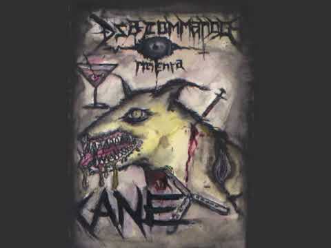 Dsa Commando -  Cane