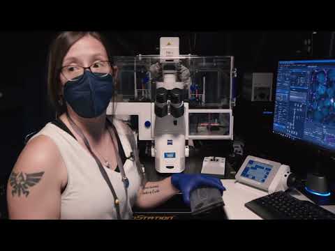 Look in the labs | Cell Science