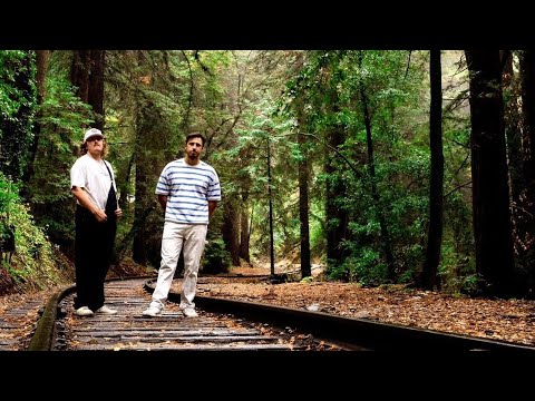 Koastle - Electric Oyster Vol.10 -  The Woods (4K)