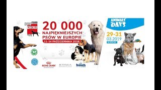 Euro Dog Show 2018 | Animals Days 2019 | Ptak Warsaw Expo