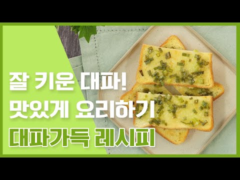 귀하게 키운 대파 맛있게 요리하자! 대파 가득 레시피모음 🤭🤭 [만개의레시피]