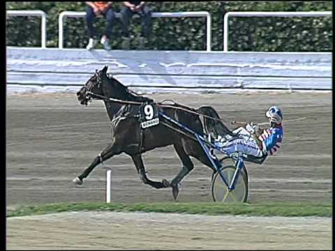 Trotto 29/04/2016 - 5° Corsa