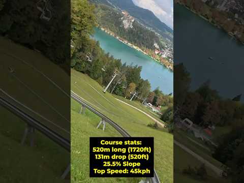 This Cheap Alpine Coaster is INSANE (No Brakes) 😱 #intense #shorts #scary