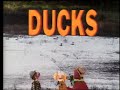Classic Sesame Street Ducks With Vern Telly And Zoe