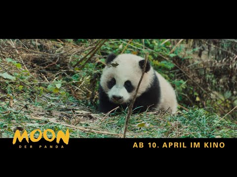 Moon, der Panda | Exklusiv: Die 1. Minute des Films | Ab 10. April im Kino