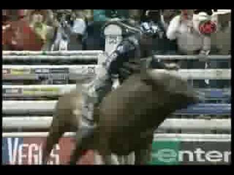 Ednei Caminhas vs Shane