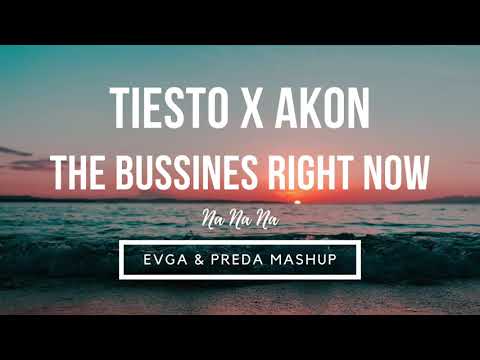 Tiesto X Akon - The Business Right Now (Evga & Preda Mashup)