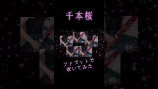 Download lagu 黒うさP「千本桜」をファゴットだけで吹いてみた#shorts mp3