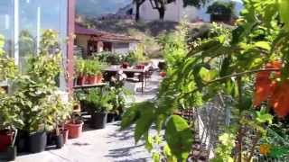 preview picture of video 'Vivero Jardinería El Pajar Piedralaves'